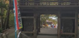 Estrechando lazos con el camino japonés de Shikoku