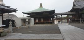 Estrechando lazos con el camino japonés de Shikoku