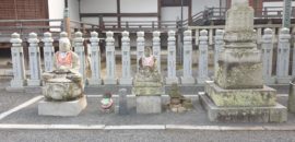 Estrechando lazos con el camino japonés de Shikoku