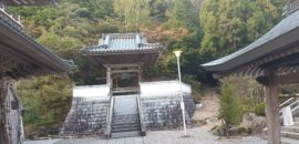 Estrechando lazos con el camino japonés de Shikoku